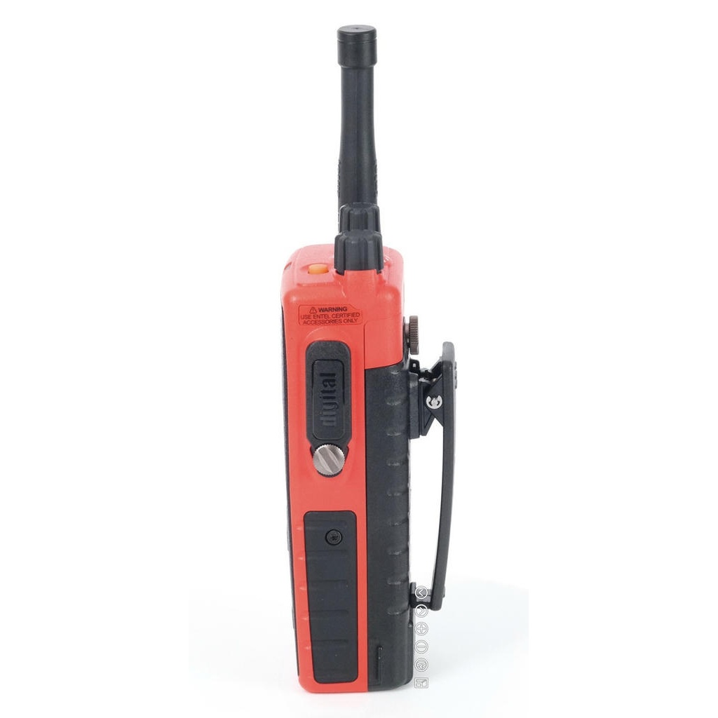 Entel DT985 Морская FF IIC — изображение 2
