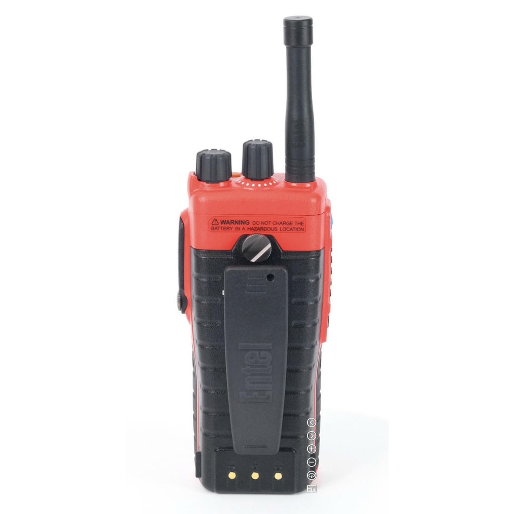 Entel DT985 Морская FF IIC — изображение 3